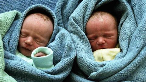 Επεισοδιακά γεννητούρια στους Παξούς: καλωσόρισε τα διδυμάκια της στο ελικοδρόμιο!